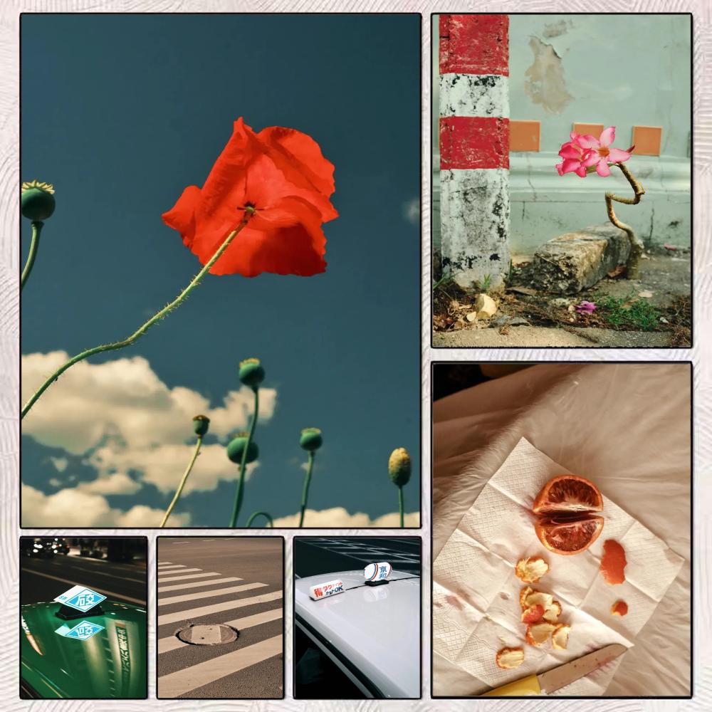 Home Decor Japandi Style - Japandi style An Ordinary Life Painting