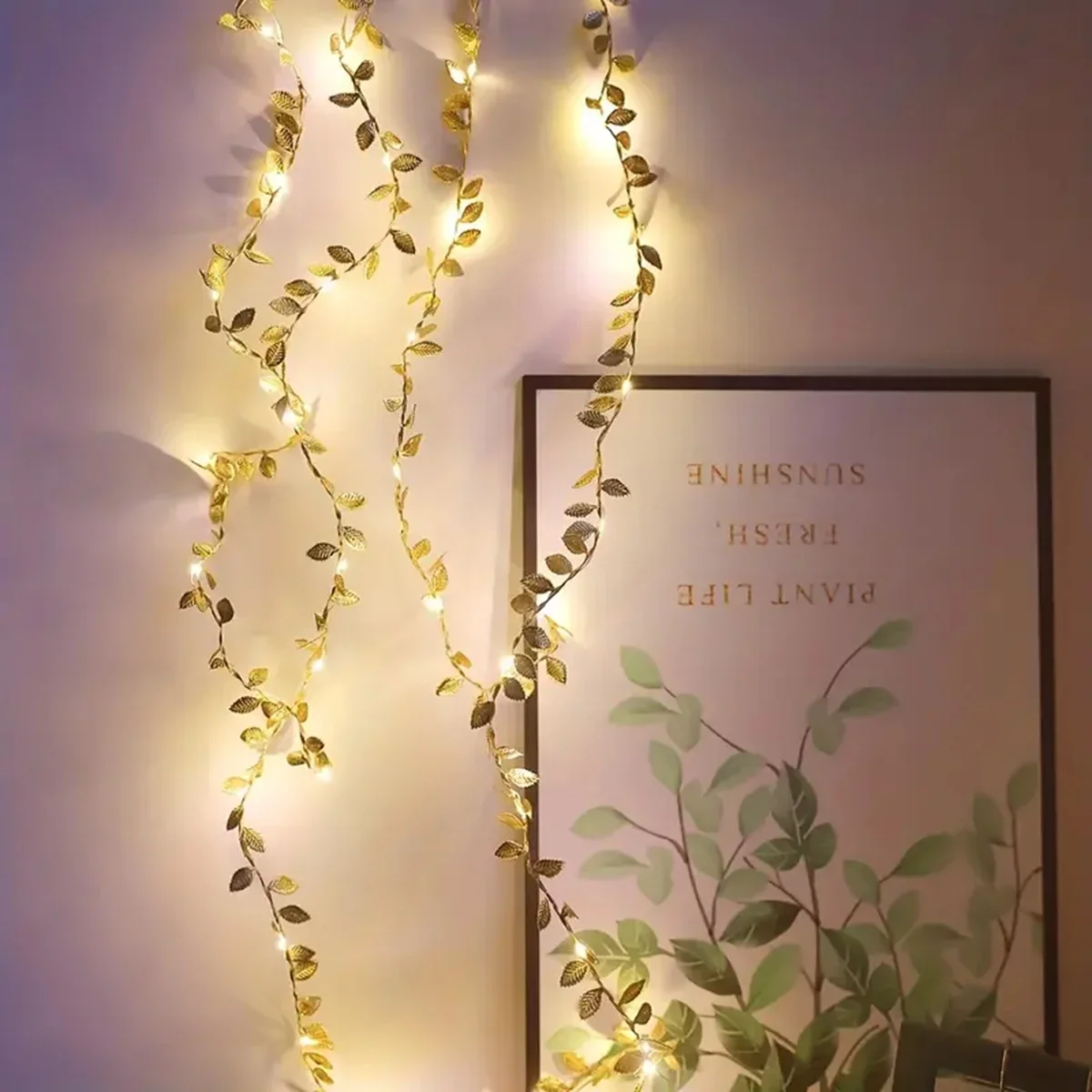 20/50/100LEDs Golden Silver Ti - đánh giá và giá Rope Light Decoration