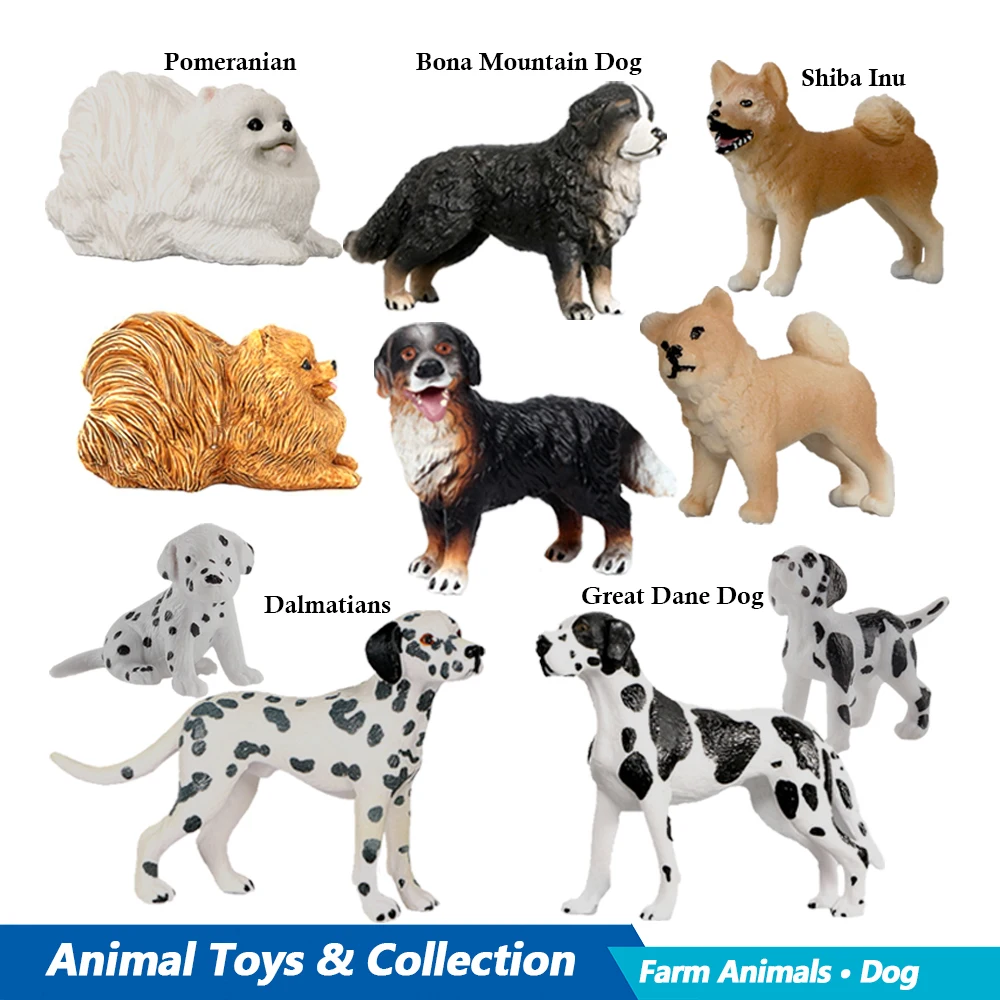 Labrador Poodle Rottweiler Bon - đánh giá và giá Review Home Decor