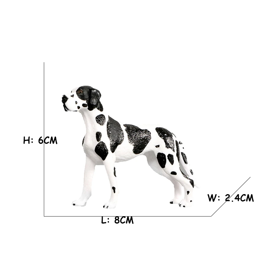 Labrador Poodle Rottweiler Bon - đánh giá và giá Review Home Decor