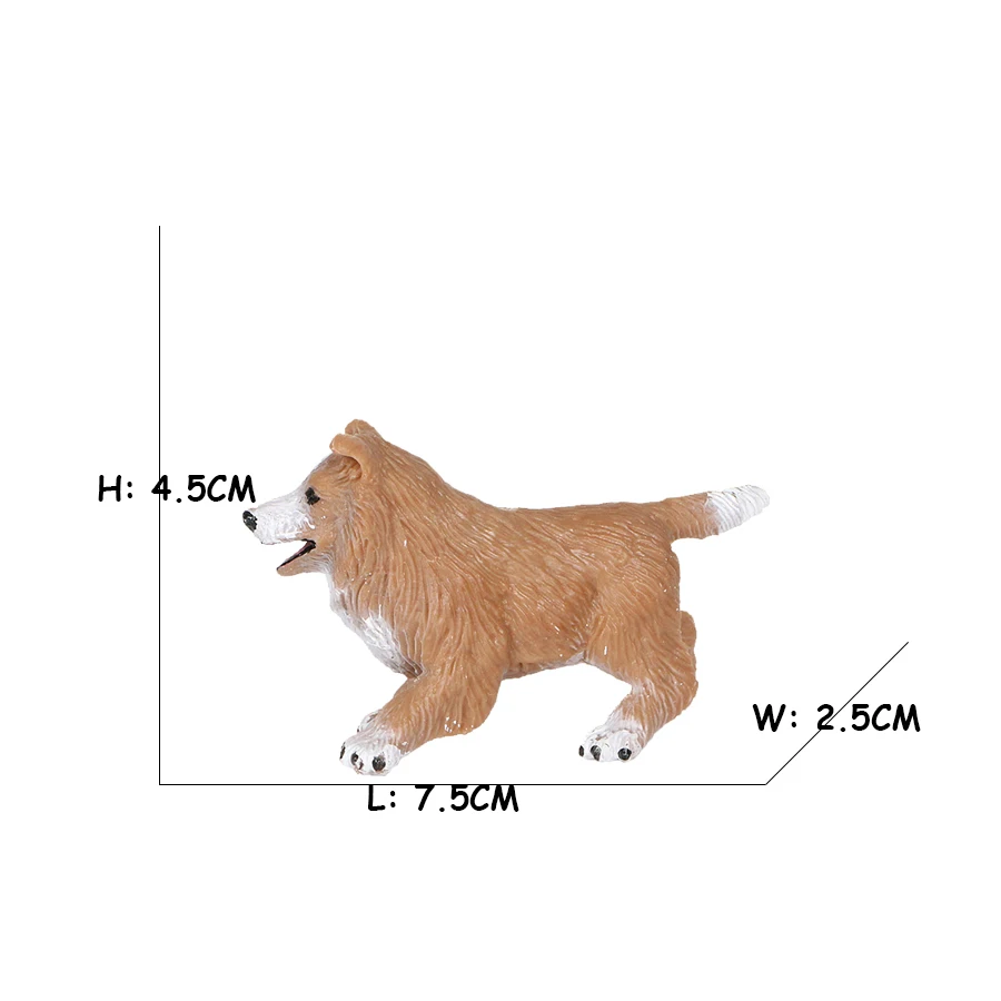 Golden Retriever Corgi Shiba I - đánh giá và giá Review Home Decor